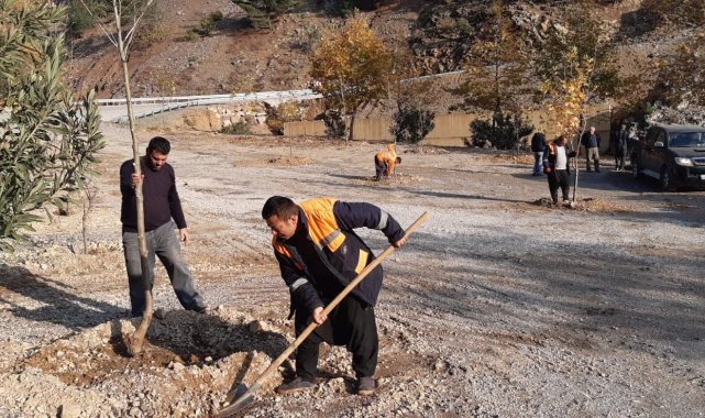 Yangın bölgesinde mesire alanı oluşturuldu