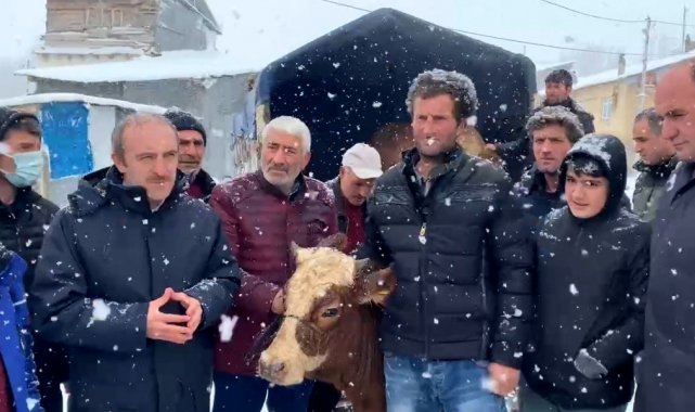 Yangında hayvanları telef olan çiftçiye 10 büyükbaş hibe edildi