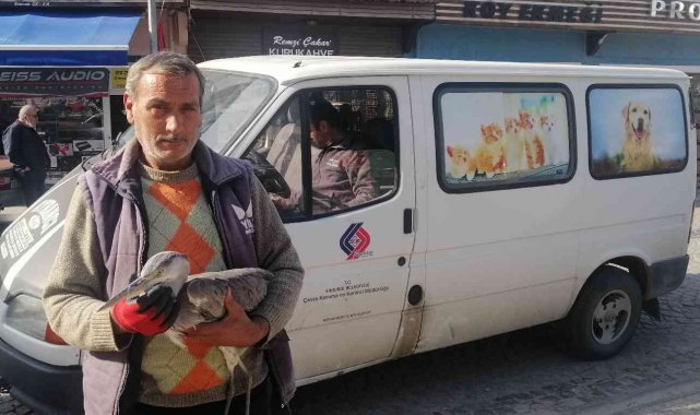 Yaralı kuşa belediye ekipleri sahip çıktı