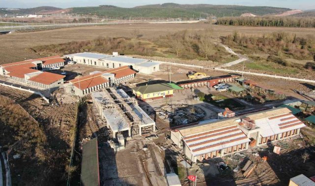 Yaralı sokak hayvanları bu merkezde tedavi edilecek