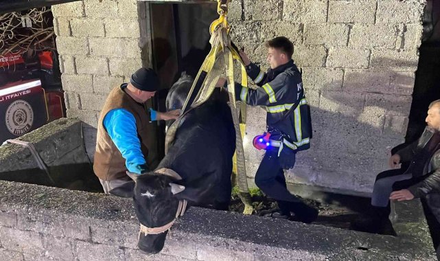 Yaramaz tosun balkonda mahsur kaldı