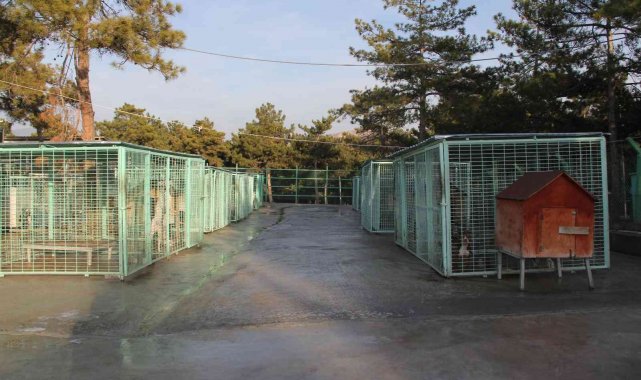 Yasaklı hayvanlar bu merkezdeki özel bölümde rehabilite ediliyor