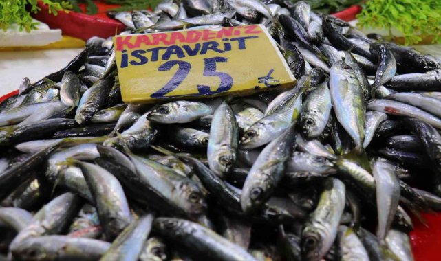Yaşanan bolluk balık fiyatlarını düşürdü