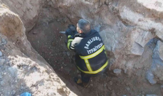 Yavru köpek kanalizasyon borusuna sıkıştı