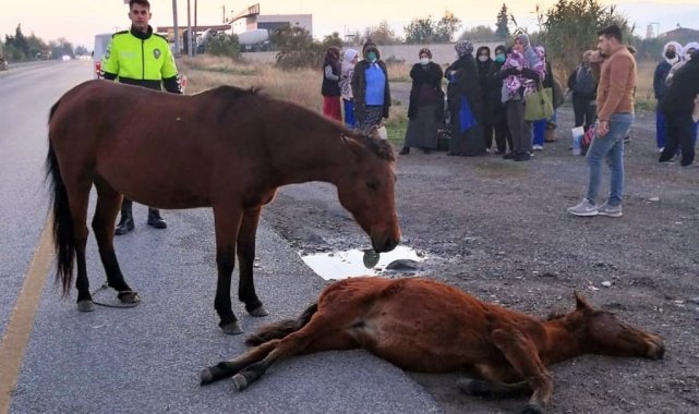 Yavrusunun başından bir an olsun ayrılmadı