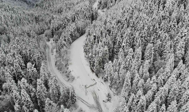 Yedigöller Milli Parkı yolu ulaşıma kapatıldı