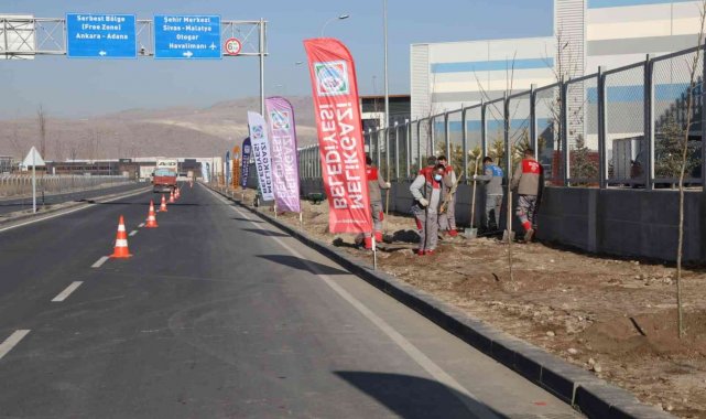 Yenilenen OSB yolunda ağaçlandırma çalışması yapıldı