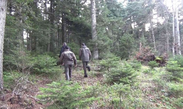 Yılbaşı öncesi orman memurları çam nöbetinde