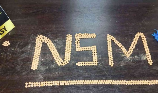 Yolcunun üzerinden 493 adet uyuşturucu hap çıktı