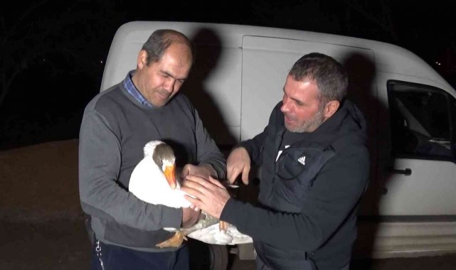 Yolda bulduğu ve 'Mamoş' ismini verdiği kazı, sahibine teslim etti