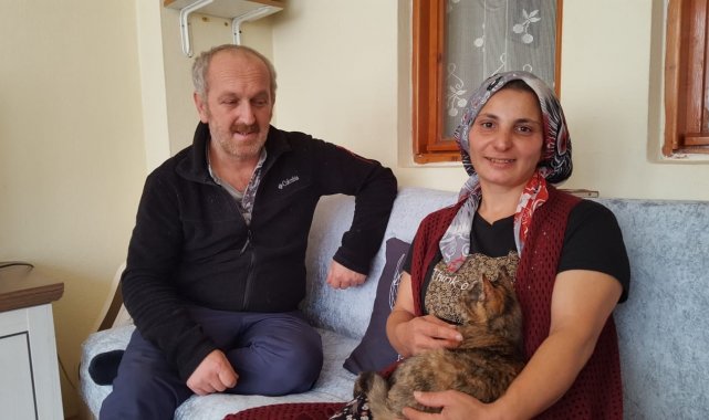 Yorganın içine giren yavru kediyi fark etmeyen sahibi çamaşır makinesine attı