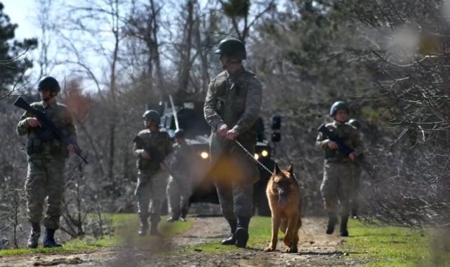 Yunanistan'a yasa dışı yollarla geçmeye çalışan 9 kişi yakalandı