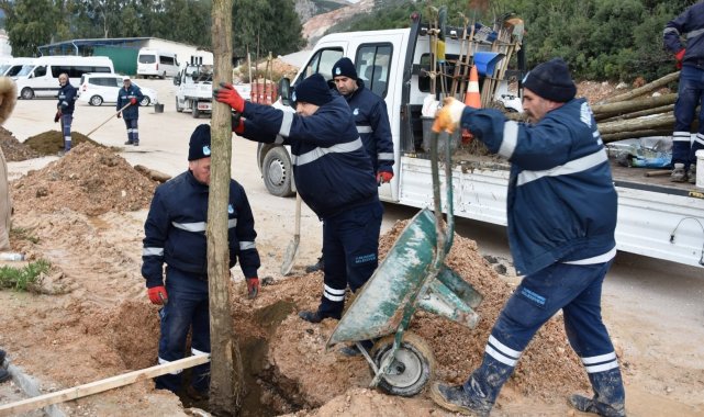 Yunusemre'de ağaçlandırma seferberliği devam ediyor