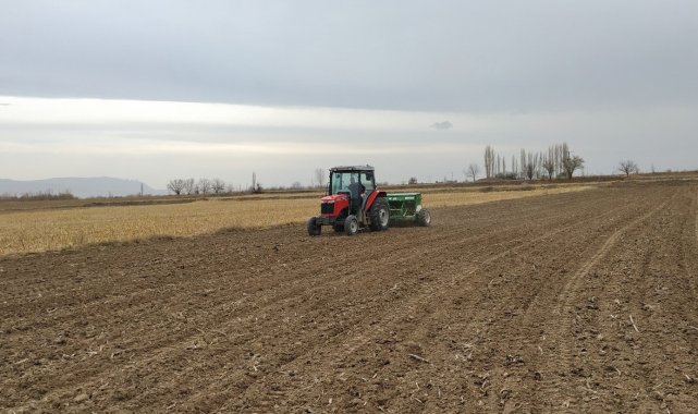 Yüzde 50 hibeli olarak 100 ton makarnalık buğday tohumluğu dağıtıldı