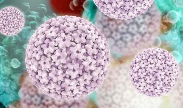100 kadından 98'i HPV virüsü ile karşı karşıya