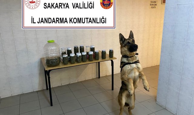 14 kavanoz ve plastik bidon içerisinde toplam 4 kilo esrar ele geçirildi