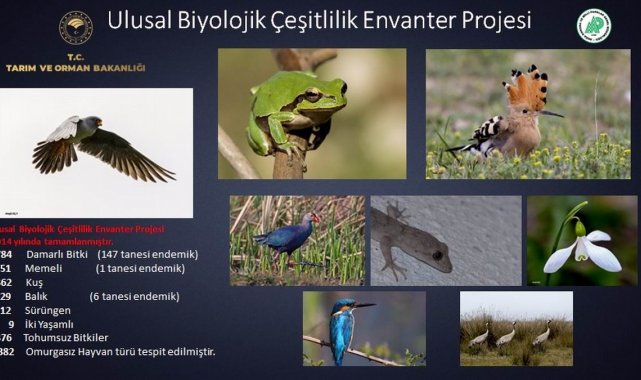 154 endemik bitki ve hayvan türü tespit edildi