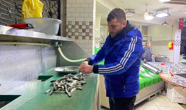 2 ay sonra hamsi tezgahlarda yerini aldı