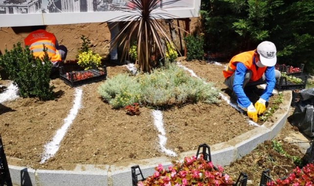 2021 yılında 53 bin 47 adet ağaç ve çalı dikildi