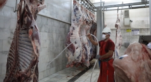 2021 Yılında Büyükşehir Mezbahalarında 5 Milyon 671 Bin kg. Et Üretildi