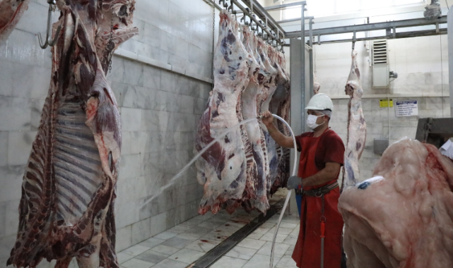 2021 Yılında Büyükşehir Mezbahalarında 5 Milyon 671 Bin kg. Et Üretildi