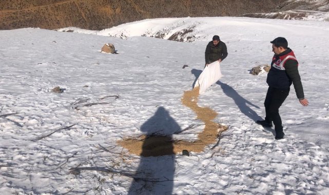 3 bin rakımlı Mereto Dağına yaban hayatı için 1 ton yem bırakıldı