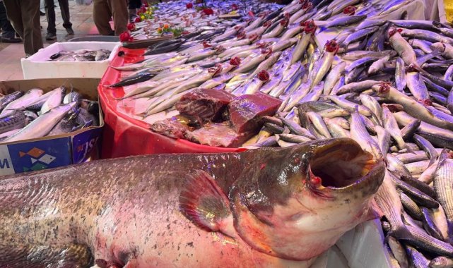 30 kilogramlık yayın balığı tezgahın en çok ilgi çekeni