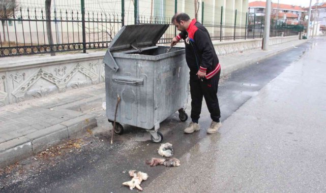 &#039;Kedilerin derisini yüzdüler&#039; ihbarına giden polis tavşan derisi buldu
