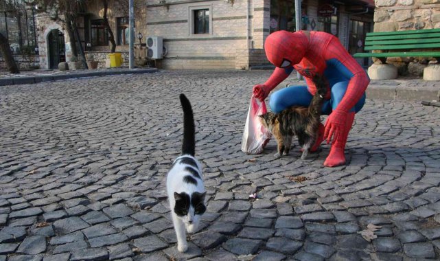 'Örümcek Adam' sokak hayvanlarının kahramanı oldu, görenler şaşkınlığını gizleyemedi