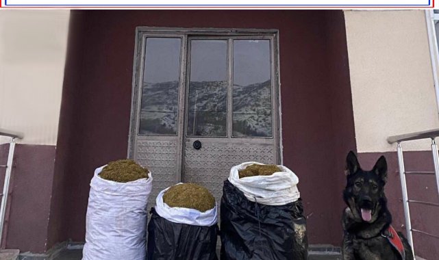 'Yaba' kokladı, Bingöl'de 75 kilo kıyılmış tütün ele geçirildi