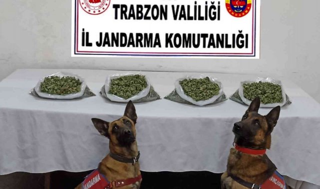 'Yatkın' ve 'Duman'dan kaçış yok