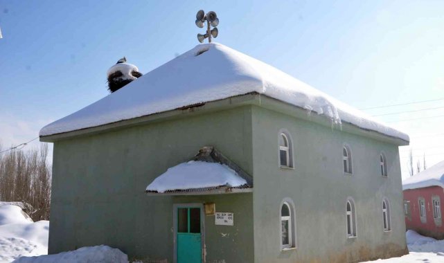 4 yıldır caminin bacasına yaptığı yuvada yaşayan leylek köyün vazgeçilmezi oldu