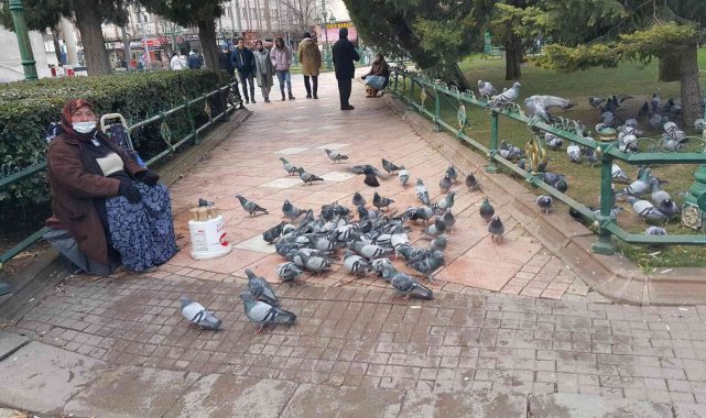 70 yaşındaki engelli kadın hem para kazanıyor hem kuşları besliyor