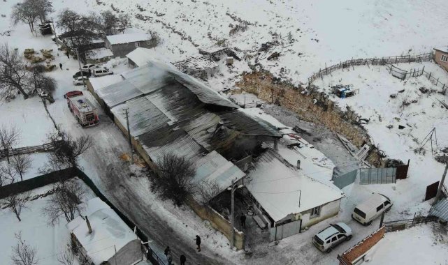 80 hayvanın telef olduğu ağıl gün ışığında görüntülendi