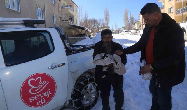 Aç kalan vaşak kediyi parçaladı
