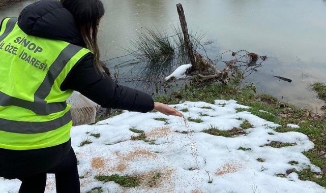 Açtıkları yola mama bırakmayı ihmal etmiyorlar
