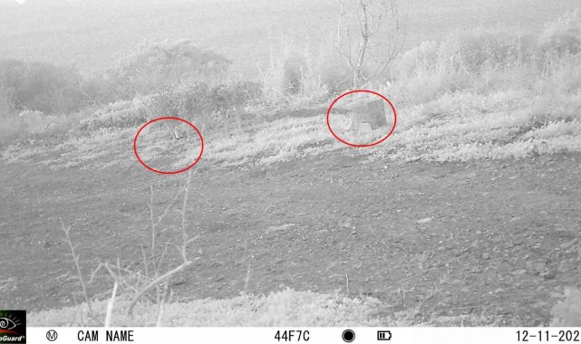 Adalar'da koruma altındaki saka kuşlarını avlayanlara 8 bin 830 TL ceza