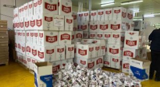 Adana'da 4 milyon 720 bin kaçak makaron ele geçirildi