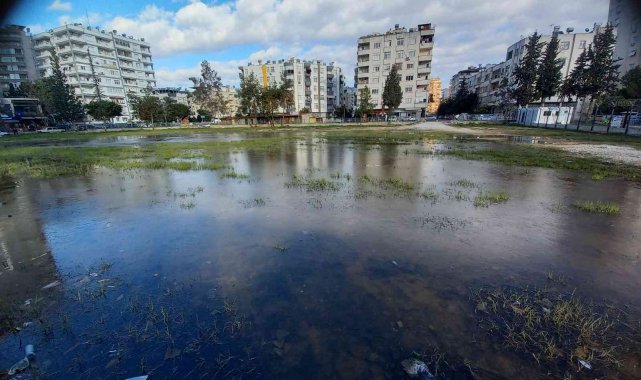 Adana'da su birikintileri buz tuttu