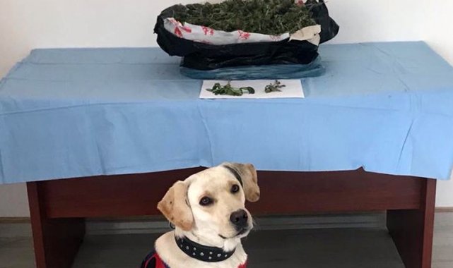 Adana'da uyuşturucu operasyonu: 2 gözaltı