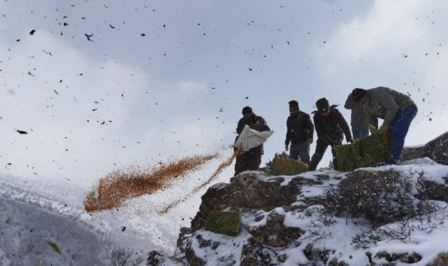 Adana'da yaban hayvanlarına yem desteği