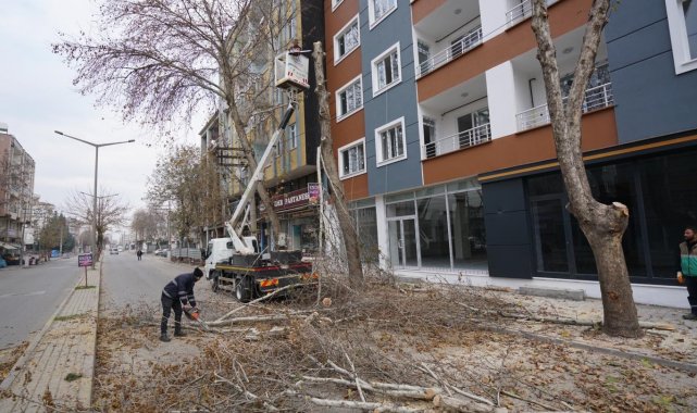 Adıyaman&#039;da ağaçlara kış bakımı