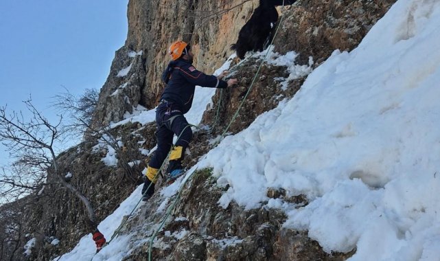 AFAD ekipleri 8 gündür dağda mahsur kalan 7 keçiyi tekne ile kurtardı