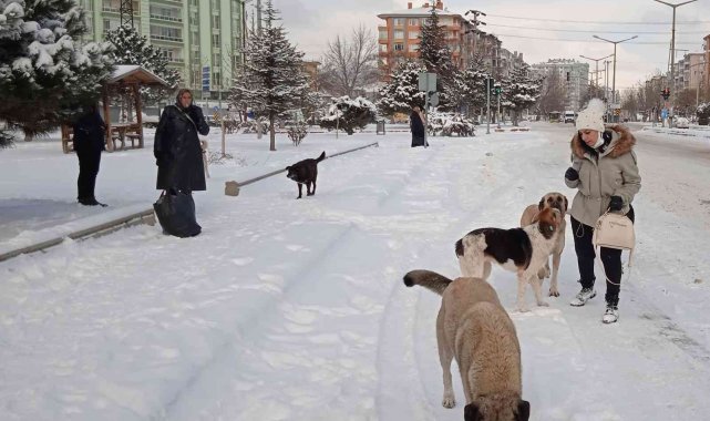 Afyonkarahisar kar altında