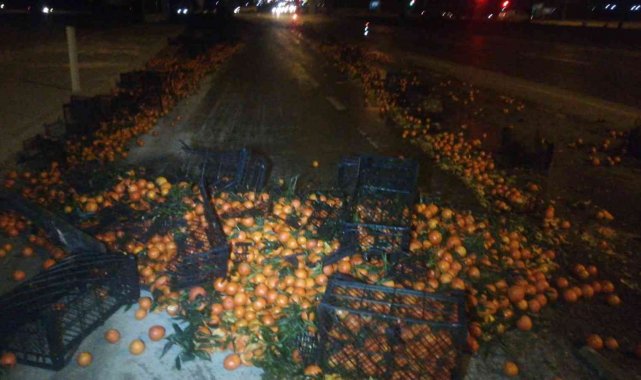 Afyonkarahisar'da tırın dorsesi savruldu, mandalinalar yolu saçıldı