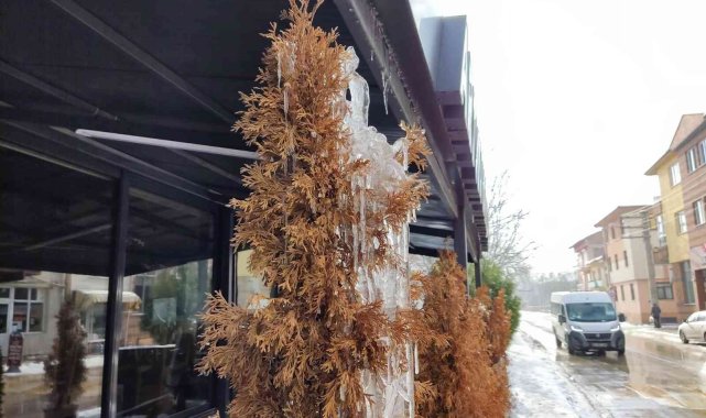 Ağaç dallarında oluşan buz sarkıtları dikkat çekiyor