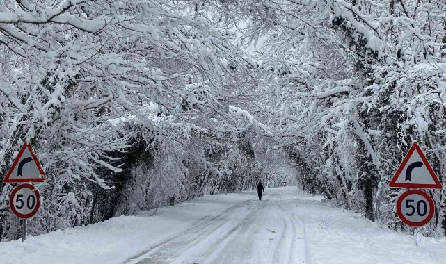 Ağaç Tünel eşsiz kar manzaraları sundu