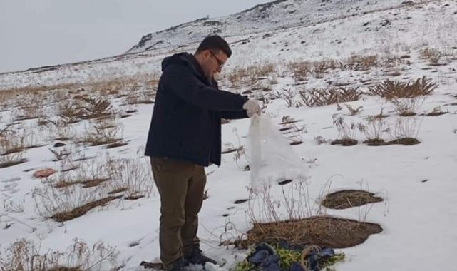 Ağrı Dağı eteklerine yaban hayvanları için yem bırakıldı