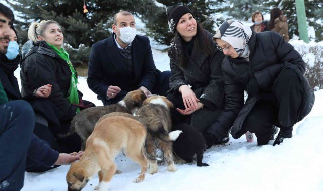 AK Parti'den can dostlar için büyük seferberlik