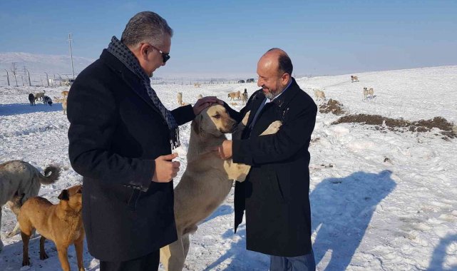 AK Parti'den yaban hayatı için doğaya yem